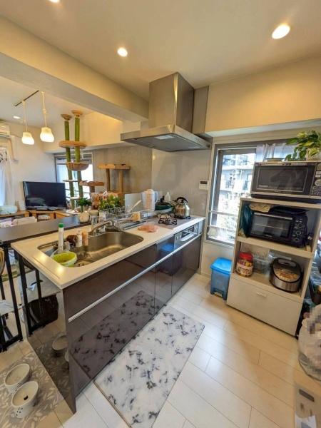 パラスト芦花公園