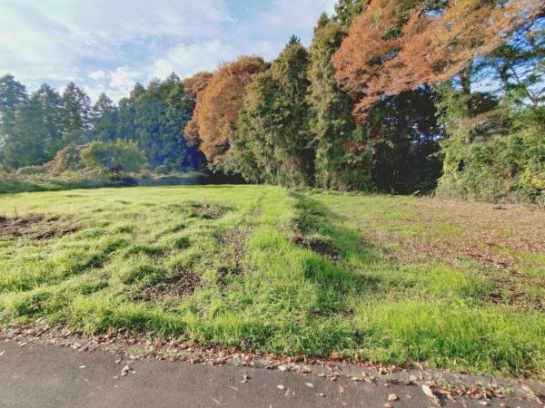 相模原市緑区寸沢嵐土地