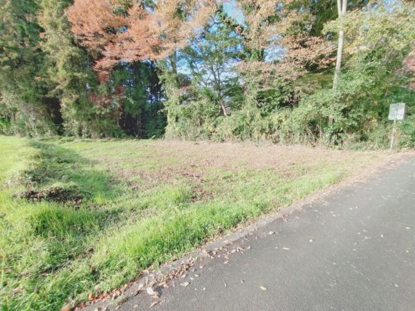 相模原市緑区寸沢嵐土地