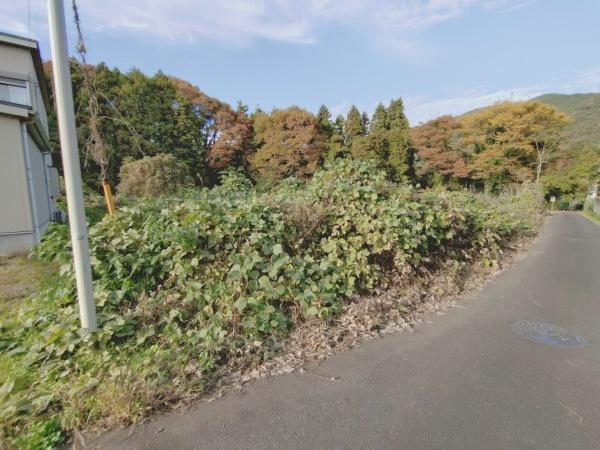相模原市緑区寸沢嵐土地