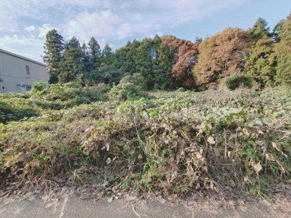 相模原市緑区寸沢嵐の土地