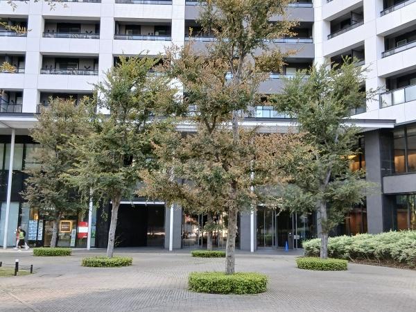 勝どきザ・タワー