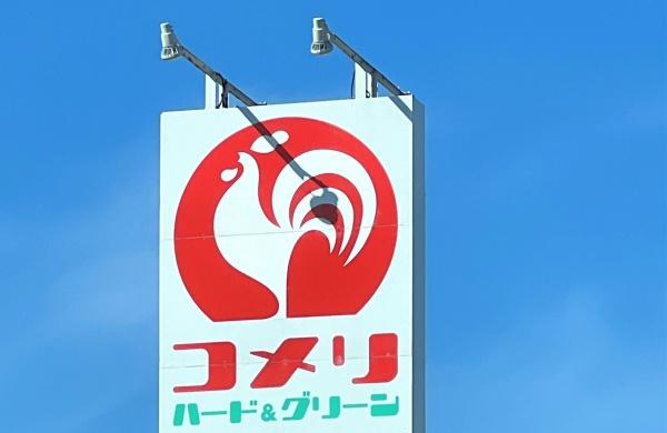 三条市北新保１丁目の土地(コメリパワー三条四日町店)