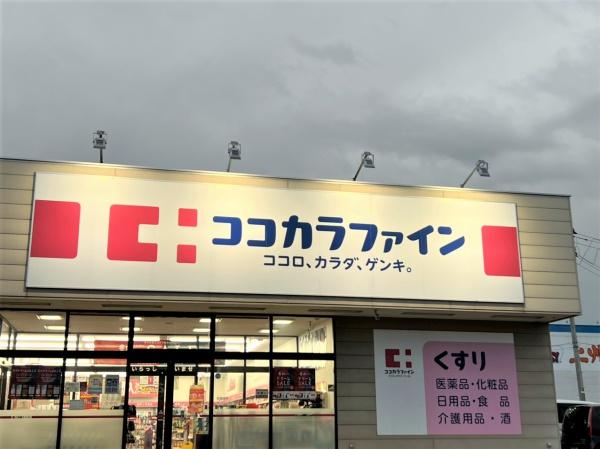 西堀青藍館(ココカラファイン古町ルフル店)