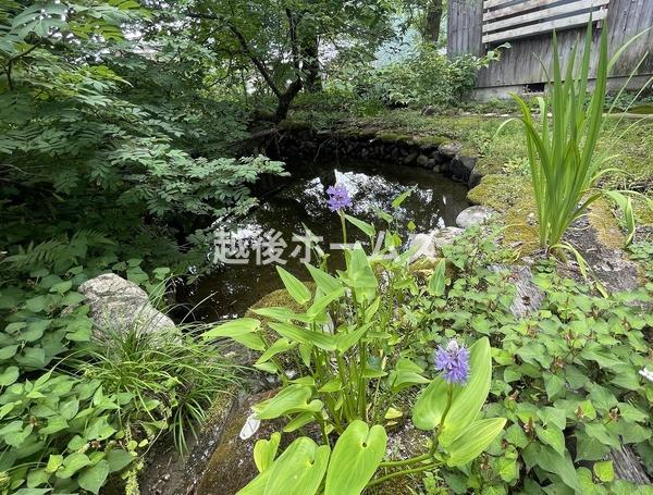 魚沼市大沢の中古一戸建て
