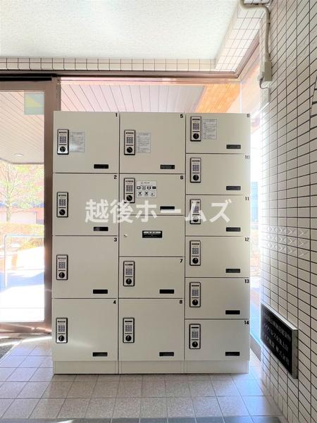 ダイアパレス女池上山