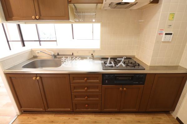 ダイアパレス女池上山