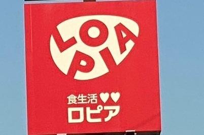 ダイアパレス本町(ロピア丸大新潟店)