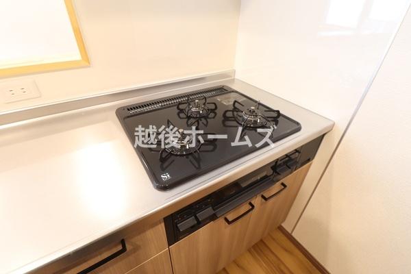 新潟市西区坂井東３丁目の中古一戸建て