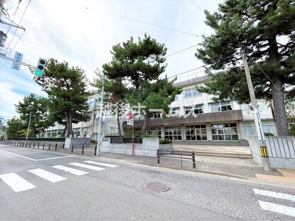 新潟市中央区浜浦町２丁目の土地(新潟市立浜浦小学校)