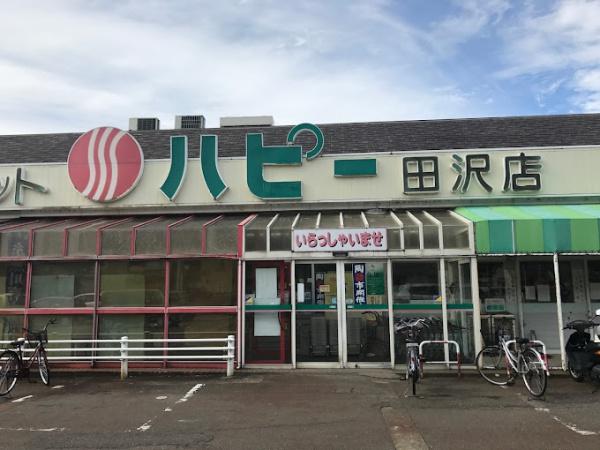 糸魚川市大字須沢の土地(ハピー田沢店)