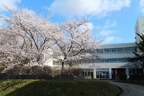 上越市名立区名立小泊の中古一戸建て(上越市立名立中学校)