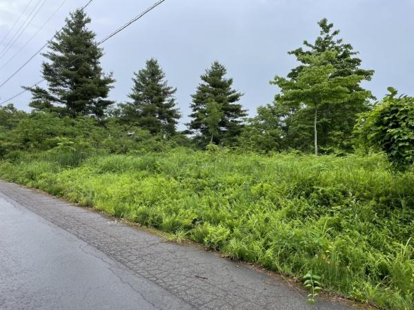 妙高市大字関山の土地