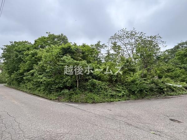 建築条件なし　売地　妙高市大字二俣
