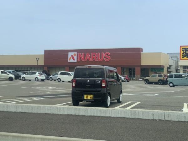 上越市大字上中田の土地(ナルス南高田店)