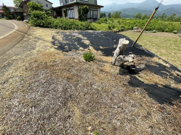 妙高市柳井田町５丁目の土地