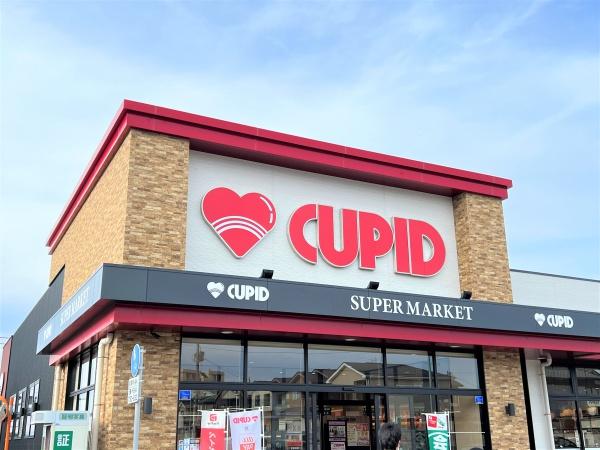 新潟市北区早通北１丁目の土地(キューピット早通店)