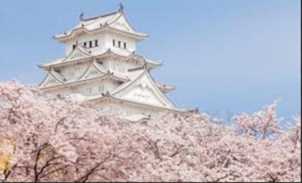 姫路市梅ケ谷町の中古一戸建て(姫路城)