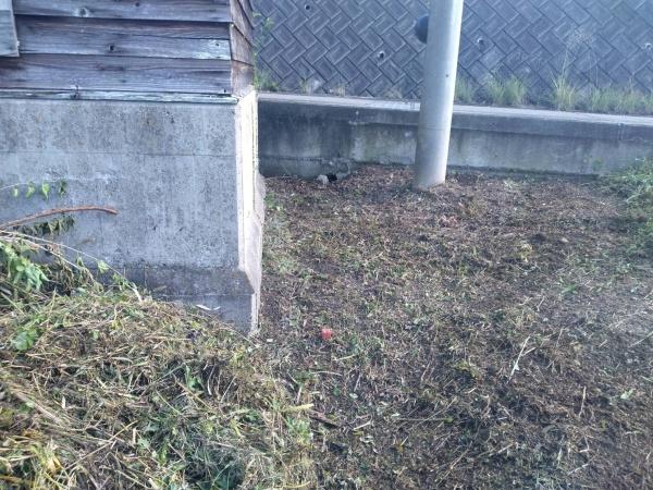 赤穂市中広の土地