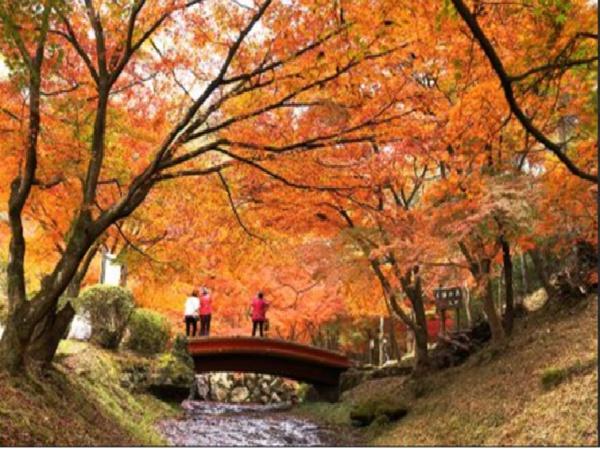 たつの市龍野町北龍野の土地(龍野公園)