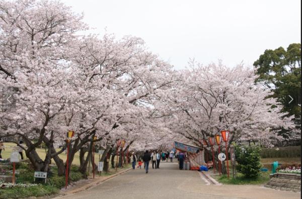 加古川市加古川町大野の土地(日岡山公園)