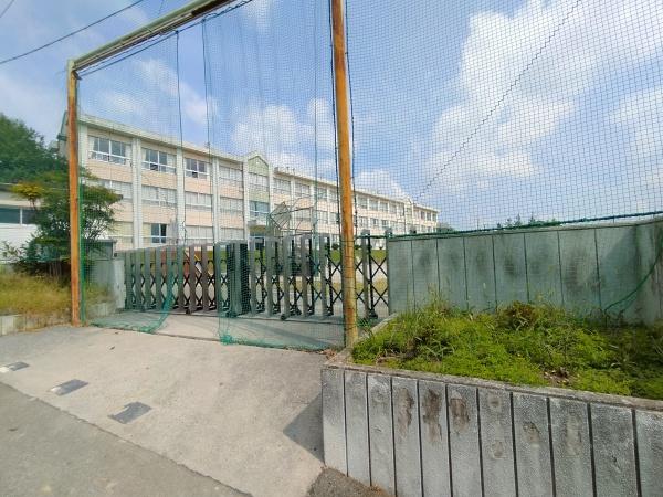 桑名市松ノ木６丁目の土地(大山田南小学校)