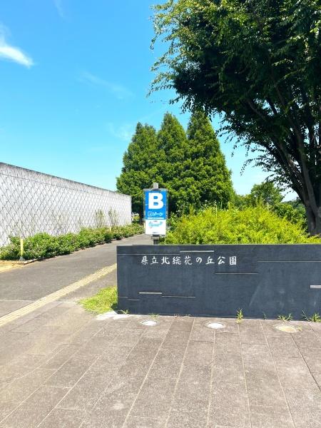 内野中央団地(県立北総の丘公園)