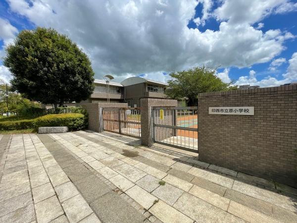 印西市草深の土地(印西市立原小学校)