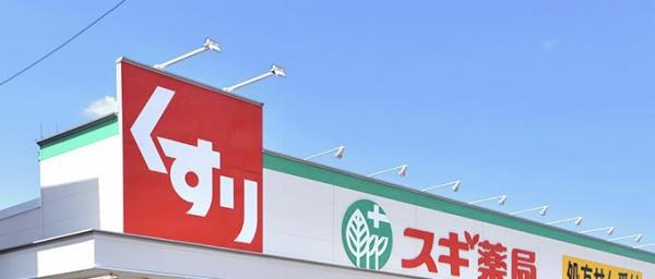 安城市姫小川町全5棟4号棟　新築戸建て(スギ薬局桜井店)