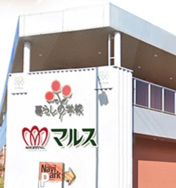 知立市昭和町全2棟2号棟 新築戸建て(にぎわい市場マルス知立団地店)