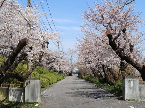 メイツ大府(大府市立大府中学校)