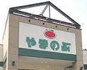 岡崎市東大友町全4棟1号棟 新築戸建て(スーパーやまのぶ矢作店)