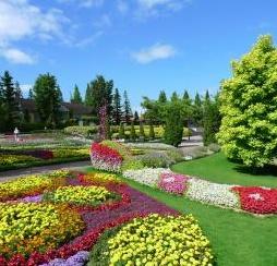 安城市和泉町全2棟1号棟 新築戸建て(安城産業文化公園デンパーク)
