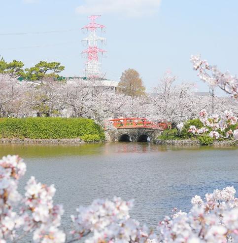 刈谷市寺横町2期 新築戸建て(亀城公園)