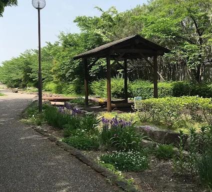 豊田市丸山町4丁目全3棟3号棟 新築戸建て(丸山公園)