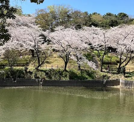 東海市富貴ノ台4丁目全3棟1号棟 新築戸建て(大池公園)