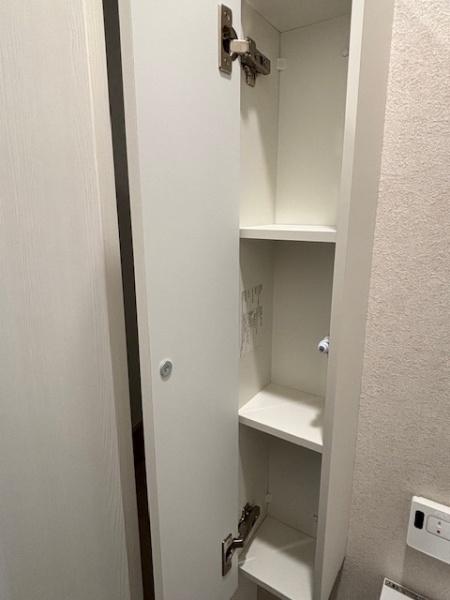 豊田市畝部東町 新築戸建て全2棟 1号棟(収納)
