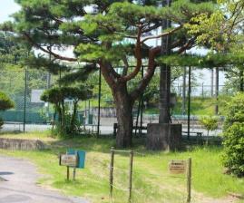 豊田市小坂町全2棟1号棟 新築戸建て(毘森公園)