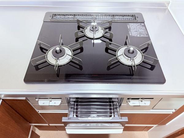 ライオンズガーデン三河安城第5(キッチン)