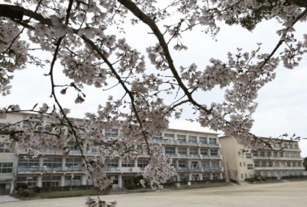 岡崎市真伝町　新築戸建て全2棟　2号棟(岡崎市立葵中学校)