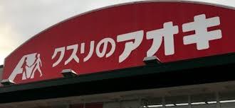 岡崎市舳越町字宮前の中古一戸建て(クスリのアオキ矢作店)