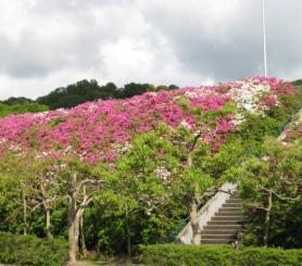 岡崎市上地全2棟1号棟　新築戸建て(彦左公園)