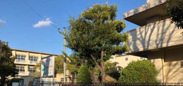 セントビスタ北岡崎(岡崎市立城北中学校)