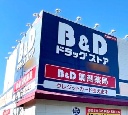 豊田市前山町全2棟2号棟　新築戸建て(B＆Dドラッグストア豊田前山店)