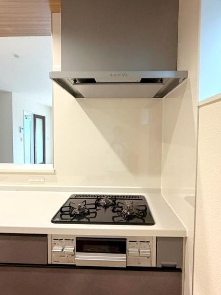安城市城南町全2棟1号棟　新築戸建て