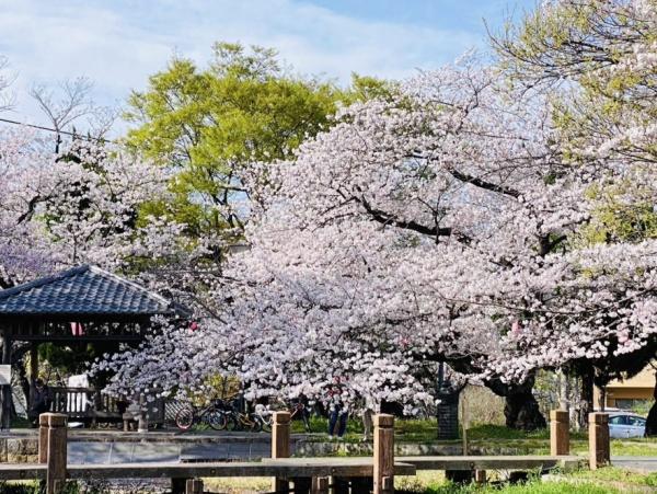 高浜市春日町全2棟1号棟　新築戸建て(大山緑地)