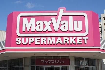 豊田市上原町西山の土地(マックスバリュ豊田四郷店)