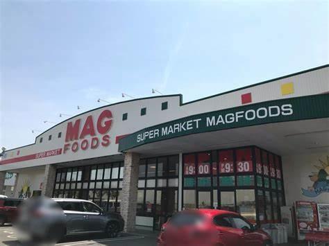 岡崎市二軒屋町1丁目01期全2棟2号棟　新築戸建て(マグフーズ中島店)