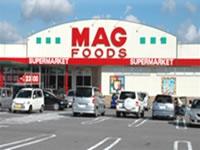 岡崎市本宿町字梨子木の土地(マグフーズ本宿店)