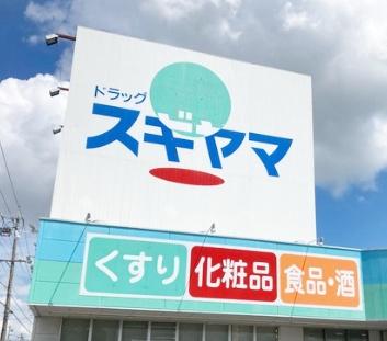 リコット東岡崎(ドラッグスギヤマ岡崎中町店)